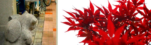 bandeau-blog-automne-2016